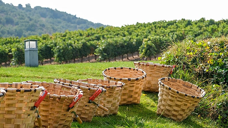 Agenda gastro de septiembre: tapas en hoteles, chefs extranjeros de visita, cócteles, vendimia en familia y más planes