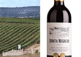 Gran Coto Redondo de Quinta Negredo, un vino con raíces