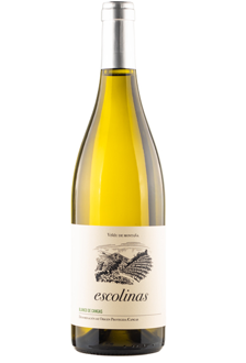 Imagen - Blanco de Cangas