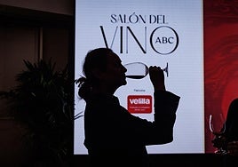 Así fue el XI Salón del Vino de ABC