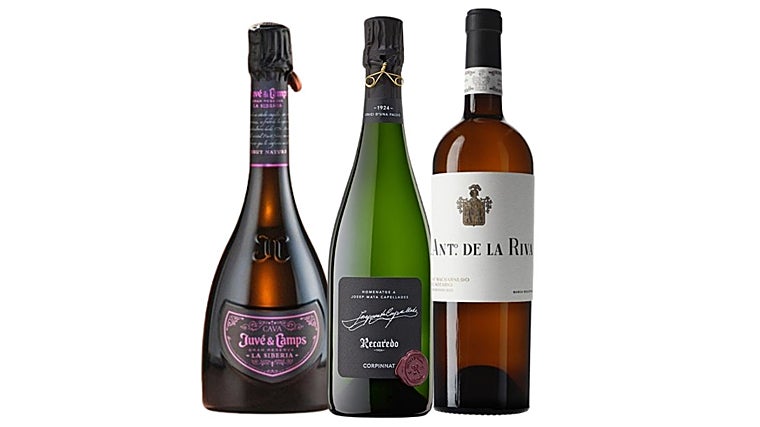 Da esquerda para a direita: La Sibéria 2015, Homenaje 2004, El Notario 2022.