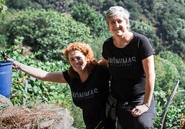Anónimas Viticultoras y la voz del Atlántico: el albariño de la serie Os Dunares
