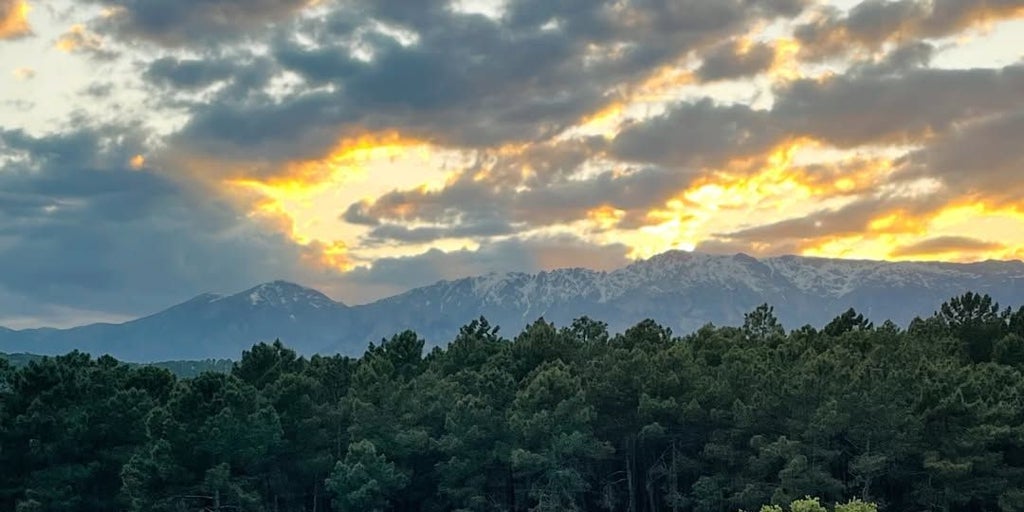 Indiano Sierra de Gredos, el vino de autor que elaboran tres amigos que saben