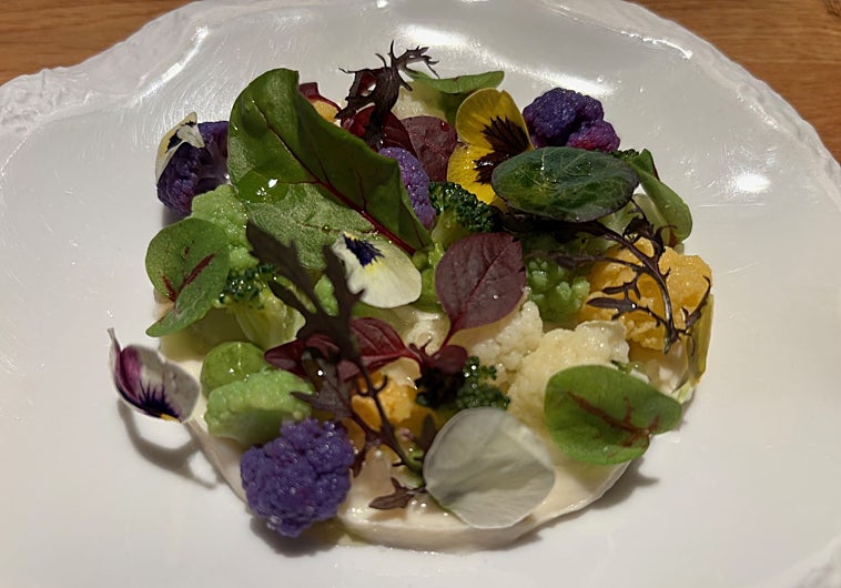 Imagen principal - Ensalada fría de crucíferas, royal de gallo celta con trufa y chocolate, y arroz de setas y erizos.