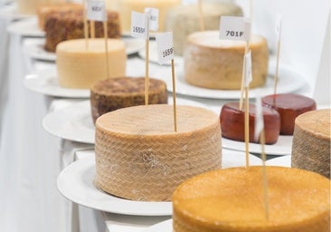 Los quesos del concurso de Salón Gourmets
