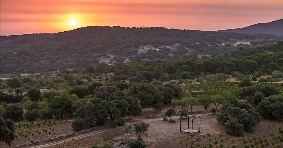 Peña Caballera, un vino de Madrid con la altura como identidad