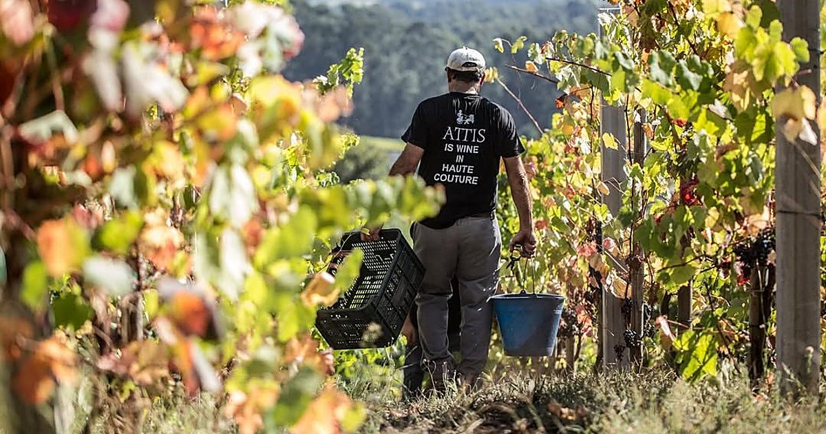 Embaixador: el tiempo como ingrediente del albariño