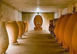 Gaintus Vertical, en busca de la variedad de uva perdida