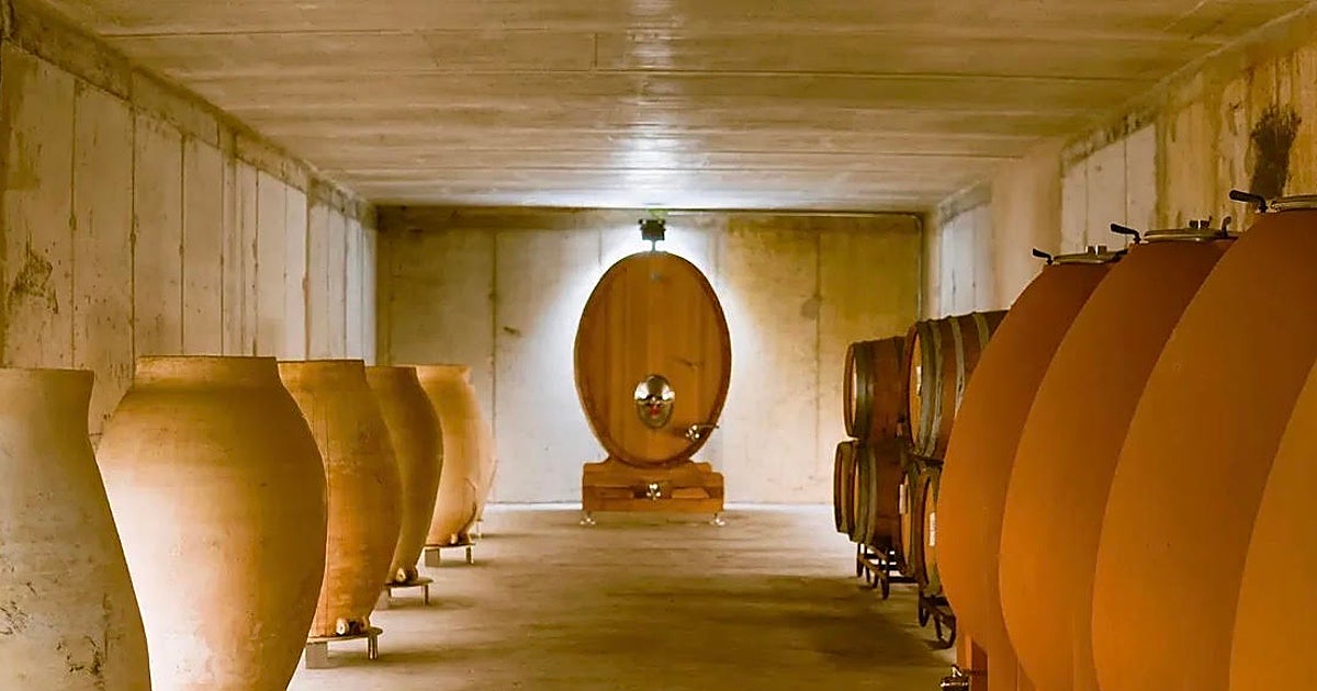 Gaintus Vertical, en busca de la variedad de uva p