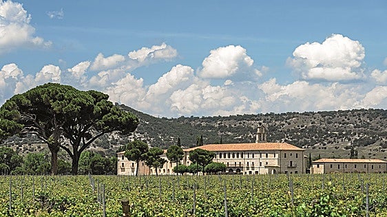 Provincia de Valladolid: la Milla de Oro del enoturismo