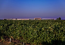 Bodegas para vivir el eclipse de agosto copa de vino en mano