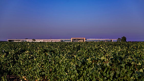 Bodegas para vivir el eclipse de agosto copa de vino en mano
