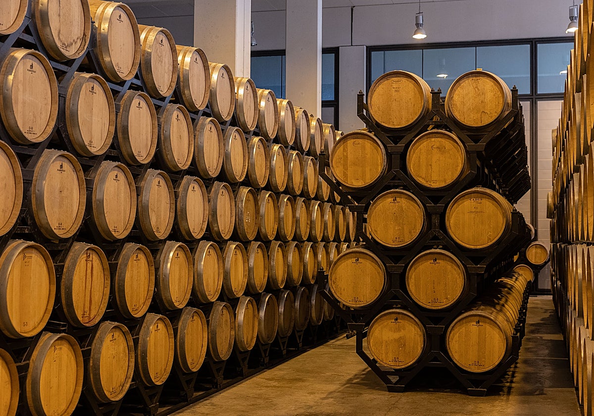 Menos madera, más paisaje: la revolución de la barrica de vino