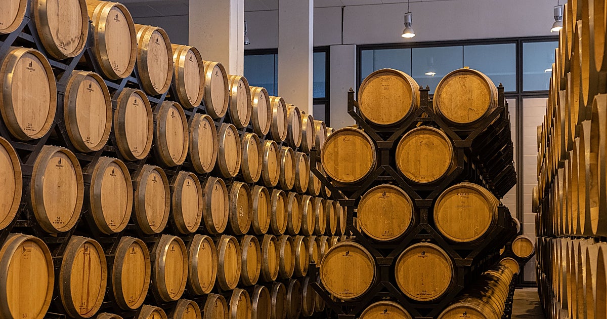 Menos madera, más paisaje: la revolución discreta de la barrica de vino