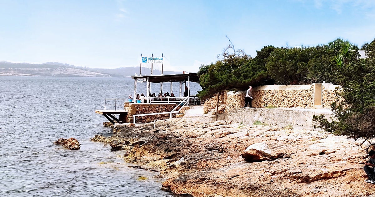 La Ibiza donde comen los locales: siete restaurantes que merece la pena conocer