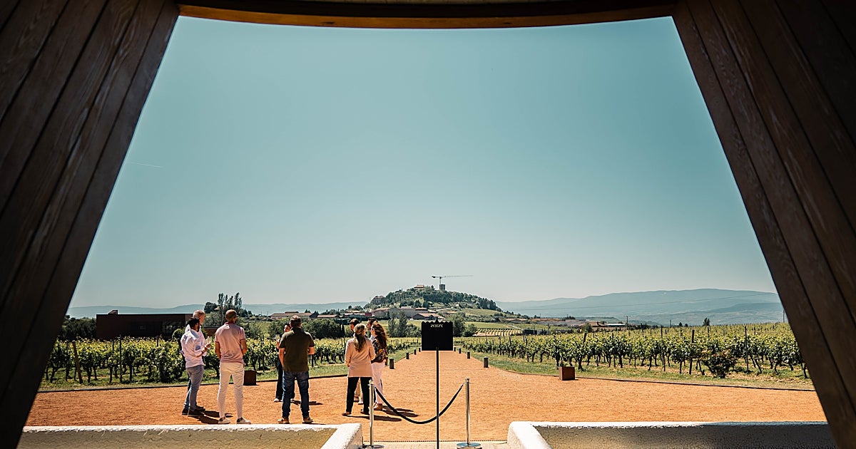 Música, eclipses y mesas entre viñedos: nueve planes para descubrir bodegas este verano
