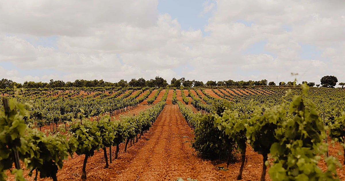 Chardonnay con acento valenciano