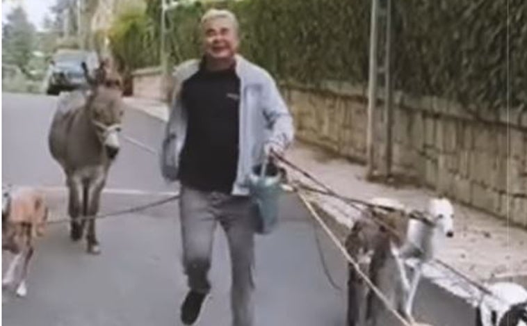 El hilarante vídeo de Jorge Javier Vázquez paseando a sus perros y su nuevo burro