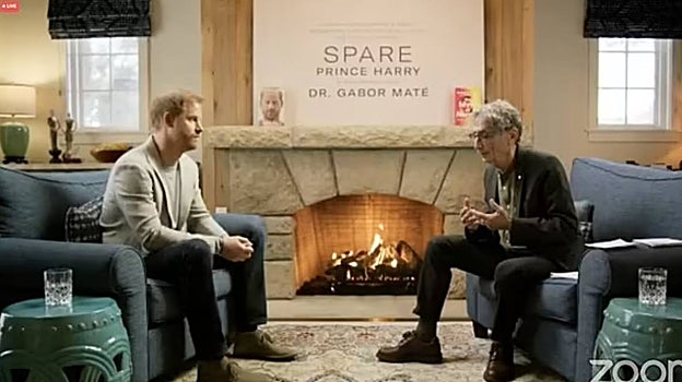 Un momento de la entrevista de Harry con el Dr. Gabor Maté
