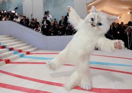 De Doja cat a Jared Leto: las estrellas que se han vestido de la gata de Karl Lagerfeld en la Gala Met