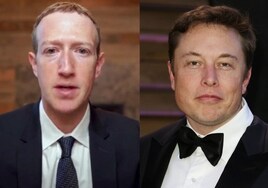 Elon Musk desafía a Zuckerberg a «medirse los penes»