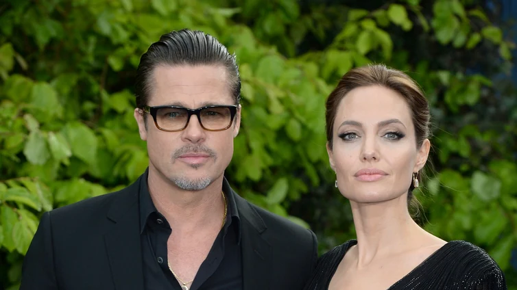 Angelina Jolie y Brad Pitt en disputa por sus viñedos: «Actuó como un niño petulante»