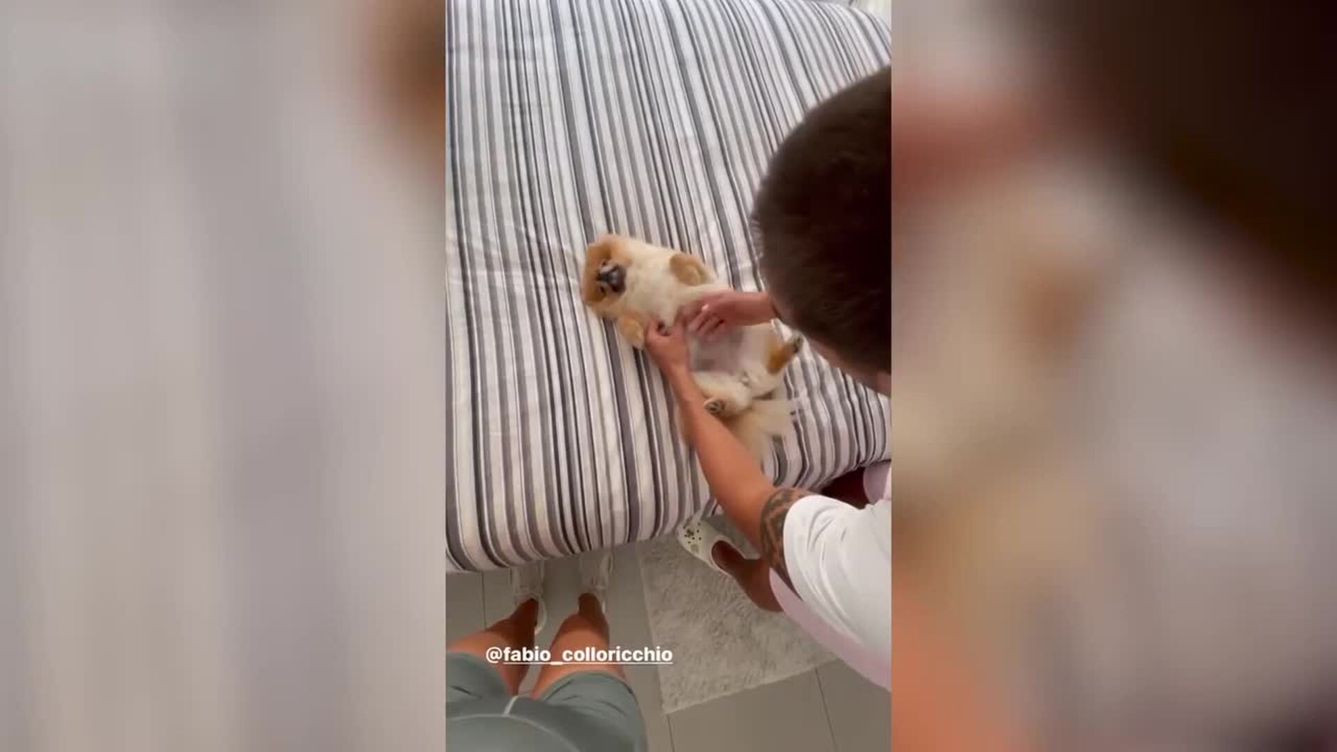 Canela, la perra de Violeta Mangriñán, vuelva a casa tras su ingreso