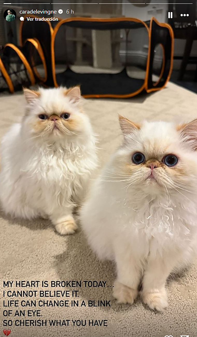 Un incendio destruye la mansión de Cara Delevingne en California