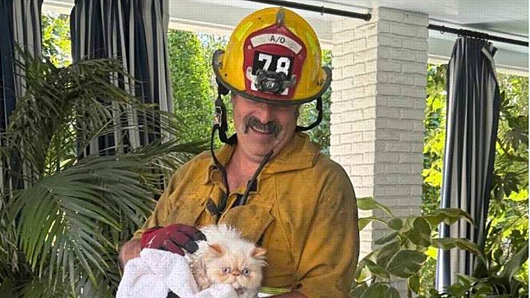 Las impactantes imágenes de la mansión y la desolación de Cara Delevingne tras el incendio