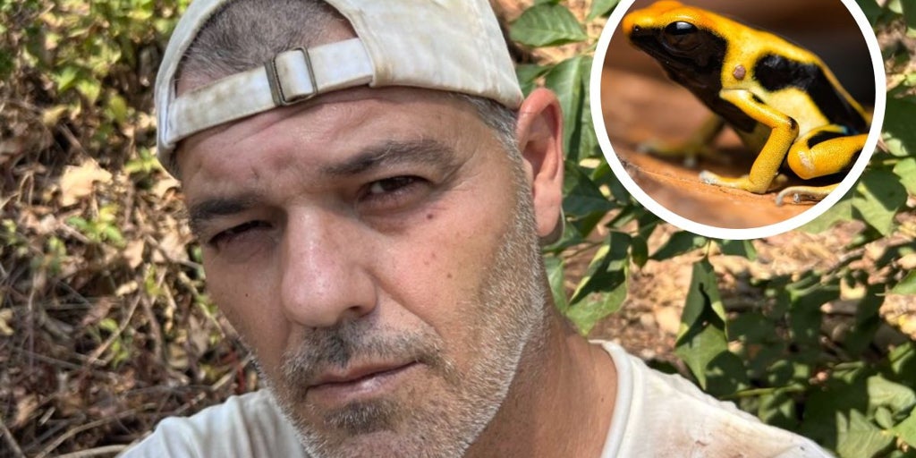 Frank Cuesta al borde de la muerte por el culpable de una rana venenosa