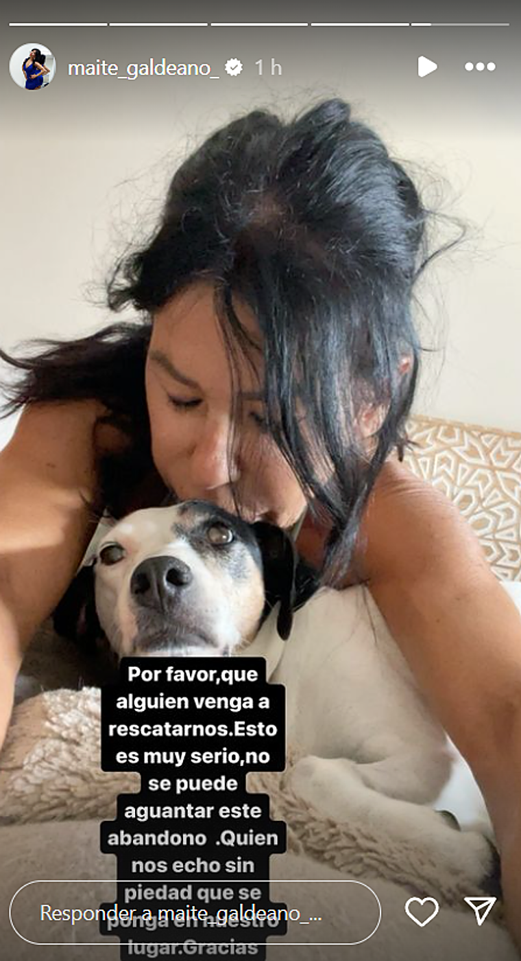 Maite Galdeano busca casa desesperadamente «a cambio de dar paseos a perritos o dar compañía»
