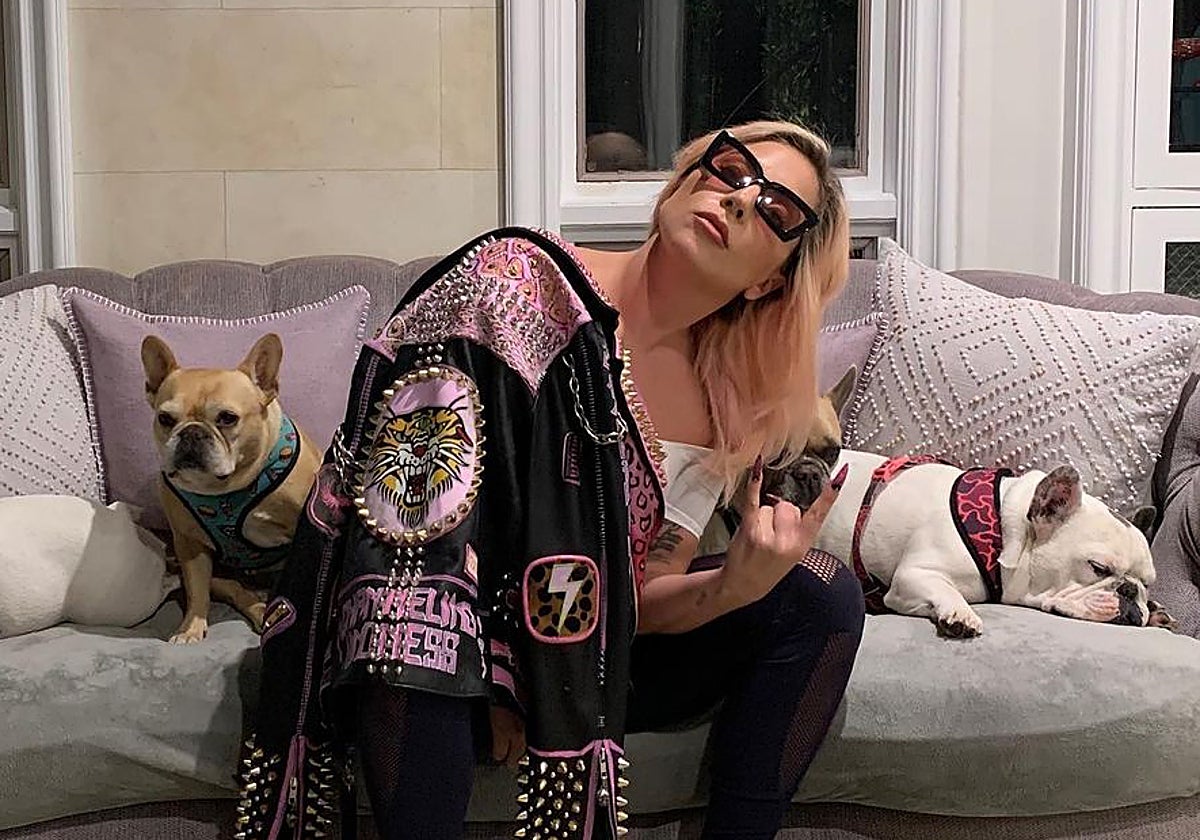 Lady Gaga junto a sus perros
