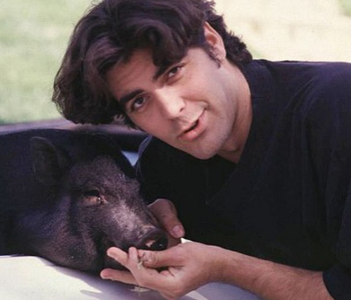 George Clooney con su cerdito Max