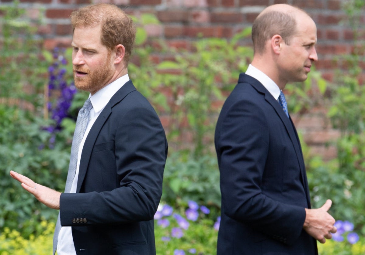 Los Príncipes Harry y Guillermo, en una de las últimas imágenes públicas de ambos juntos.