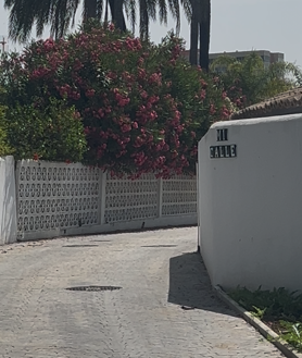 Imagen secundaria 2 - La nueva mansión que Antonio Banderas está levantando en Marbella