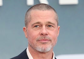 Tres ladrones entran en la mansión de Brad Pitt por la ventana delantera y la saquean en tiempo exprés
