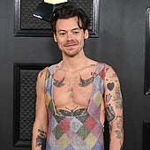 Harry Styles se lanza al mercado de juguetes sexuales