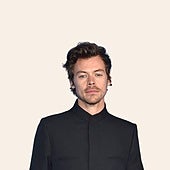 Harry Styles se lanza al mercado de juguetes sexuales