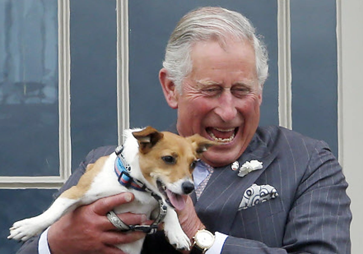 Desde galletas para perros hasta abrigos impermeables: así es el negocio &#039;pet friendly&#039; del Rey Carlos III