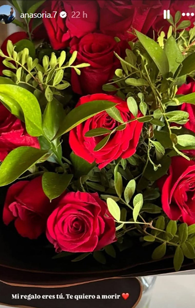 Ana Soria agradece a Enrique Ponce sus rosas de cumpleaños: «Mi regalo eres tú»