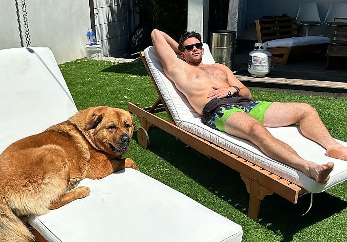 Polémica viral: un streamer, acusado de poner un collar eléctrico a su perra y suministrarle descargas para que no se moviese durante el vídeo