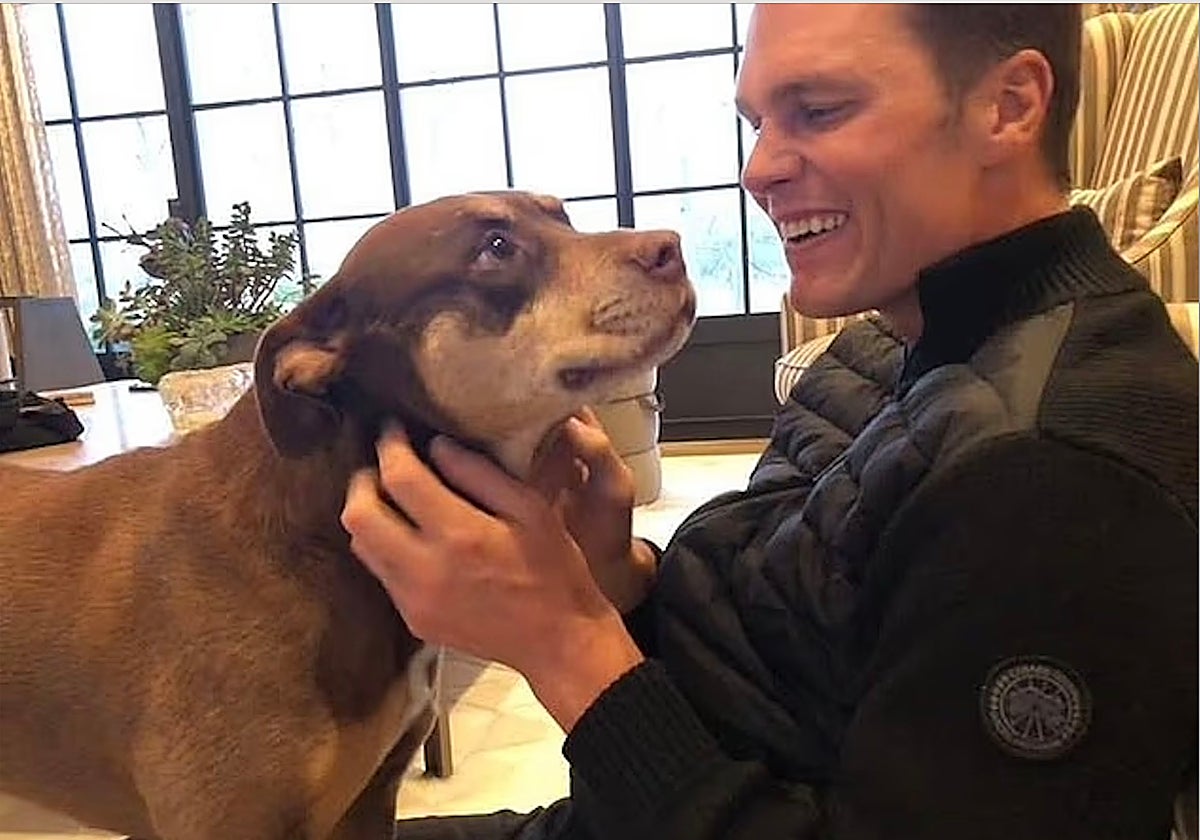Tom BRady y su mascota clonada