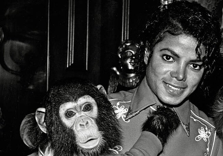 ¿Qué fue de Bubbles, el chimpancé que dormía en la habitación de Michael Jackson?