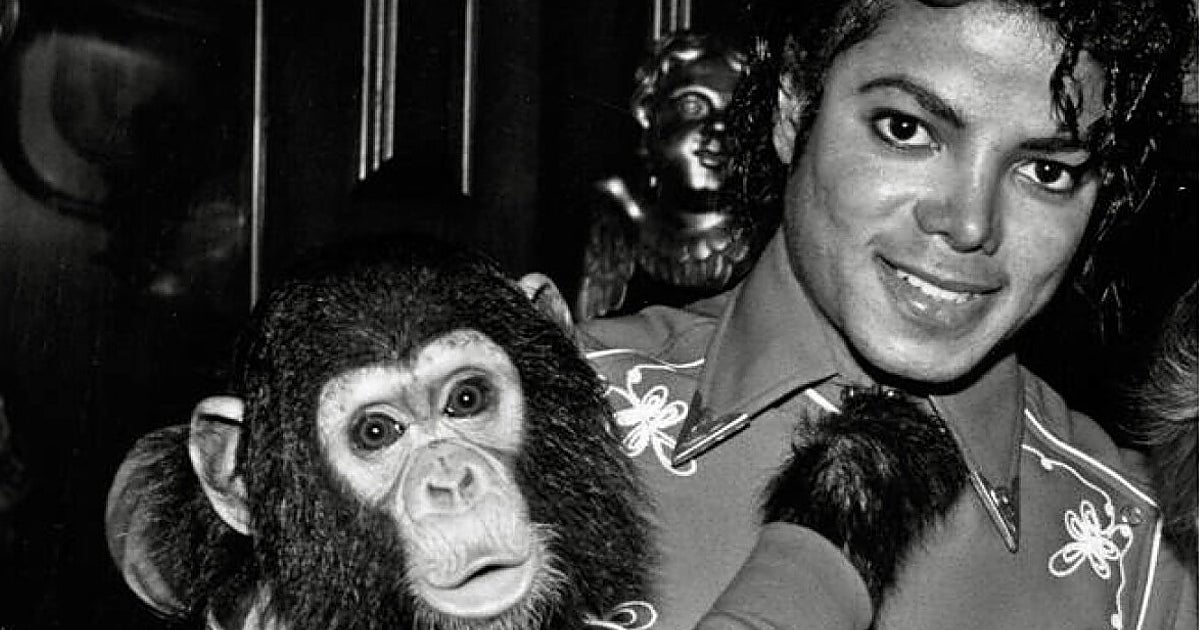 ¿Qué fue de Bubbles, el chimpancé que dormía en la habitación de Michael Jackson?