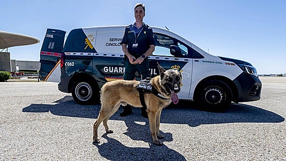 Max, un perro detector de explosivos de la Guardia Civil, adoptado tras su jubilación