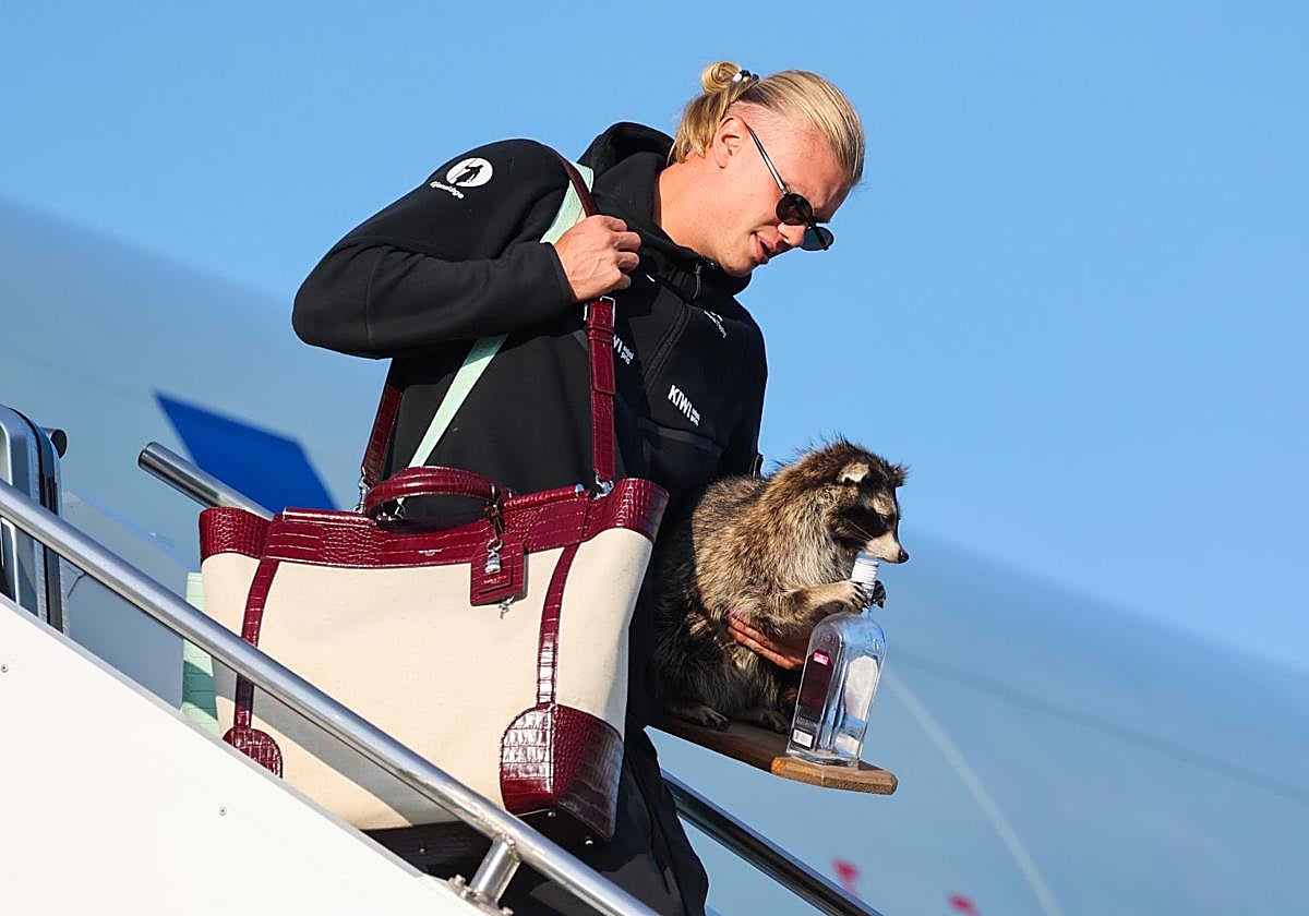 Haaland regresa del Mundial a Noruega con un mapache disecado sujetando una botella de whisky vacía