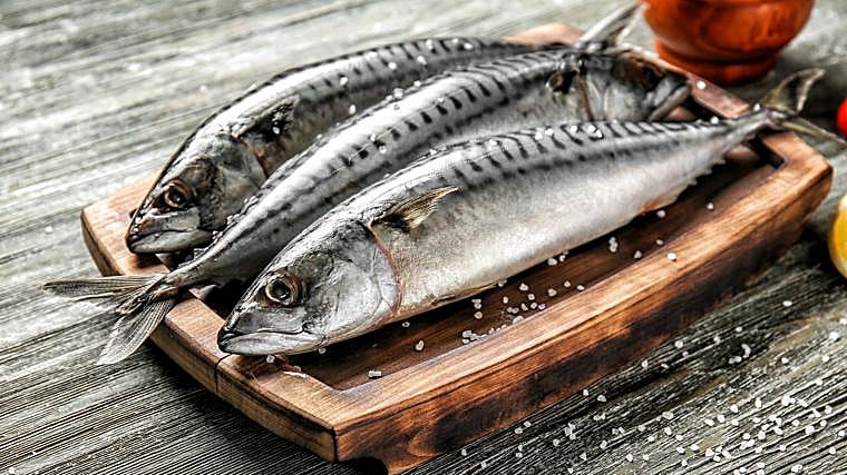 La caballa es rica en omega-3