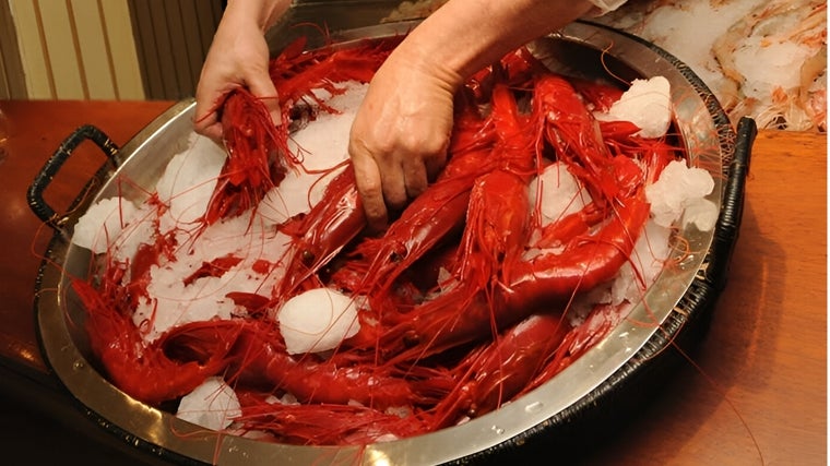 En Jaylu seleccionan el producto a diario en las mejores lonjas de Cádiz y Huelva y por eso es una de nuestras recomendaciones para comer buen marisco en Sevilla