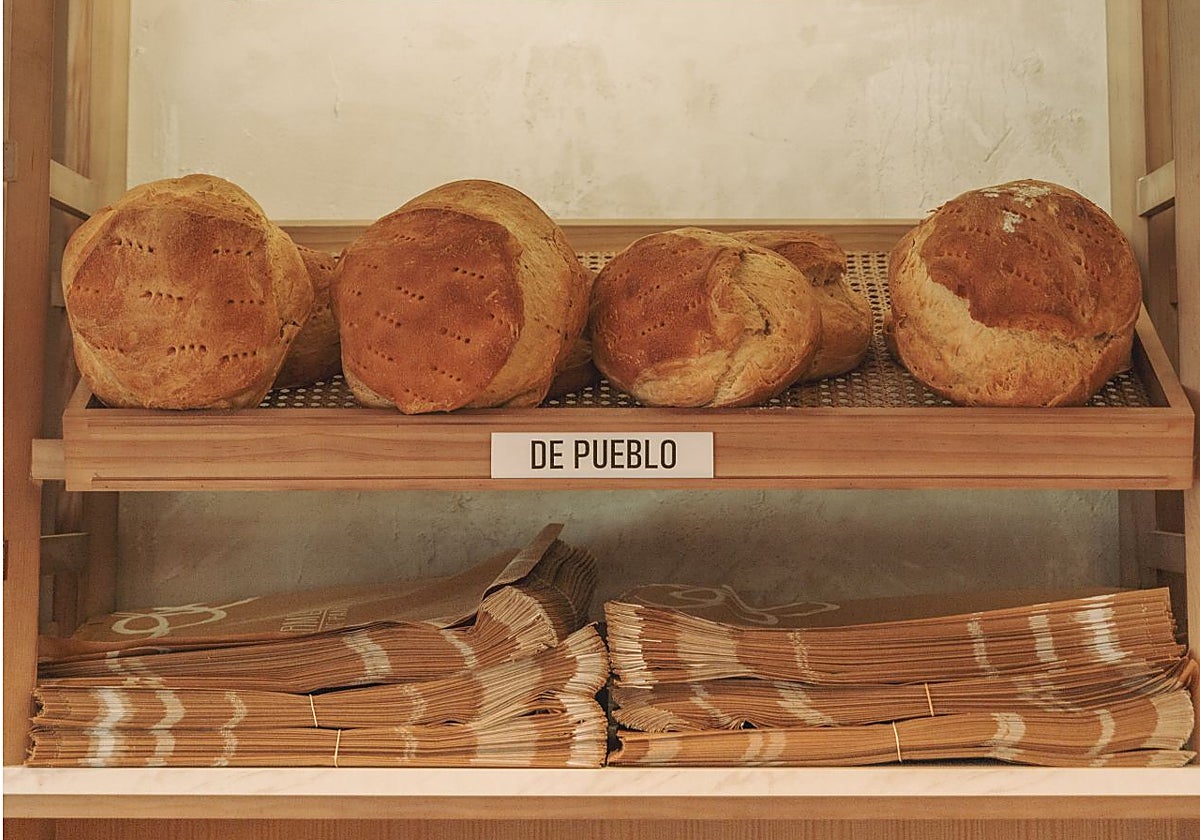 Panes de pueblo de Fermento