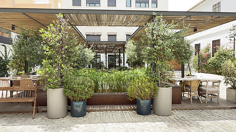 Zuelo y Zielo: así es la propuesta de Las Golondrinas en el trianero Hotel Zenit